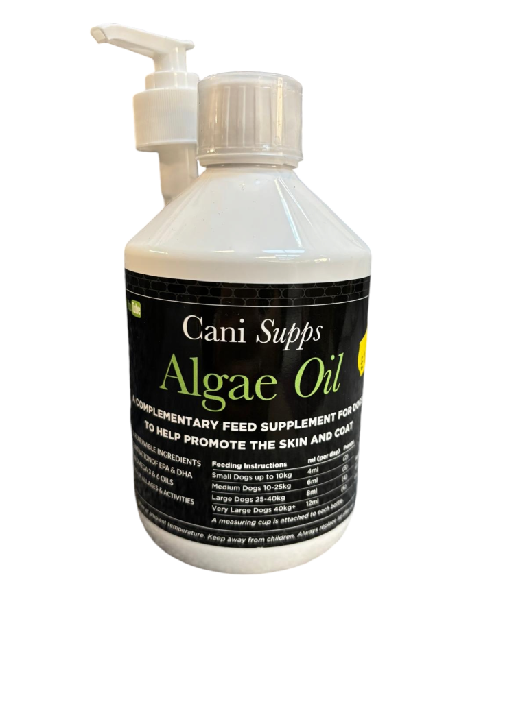 Algae Oil