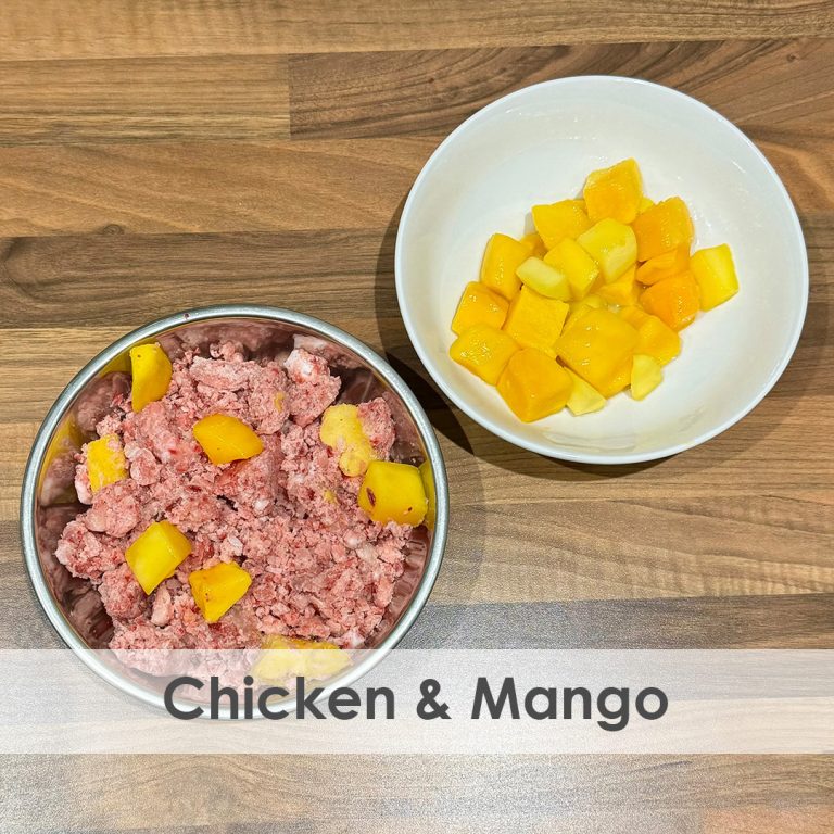 Chicken_Mango_01-web_2