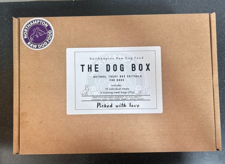 DogBox1