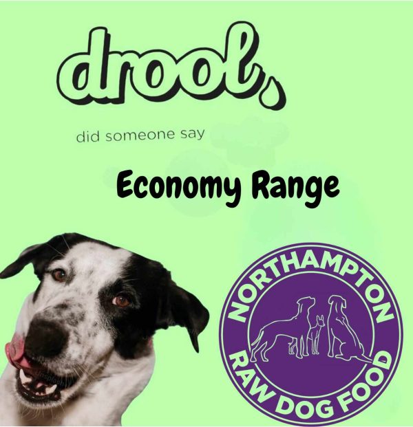 Dog with Drool Economy logo, green backdrop.