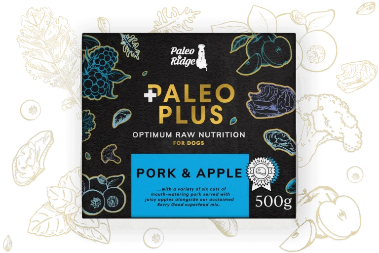 Pork-Apple-Paleo-Plus-PR-II