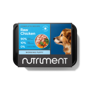 Puppy Food Package: Chicken Formula 500g, Cute Puppy Image.