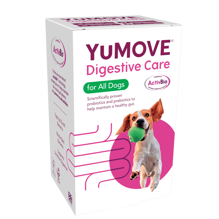 YUPB13-SW01—YuMOVE-Digestive-Care-for-All-Dogs—NoSize—Carton-2_CMYK