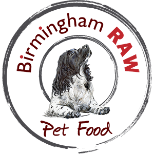 bham-raw-logo